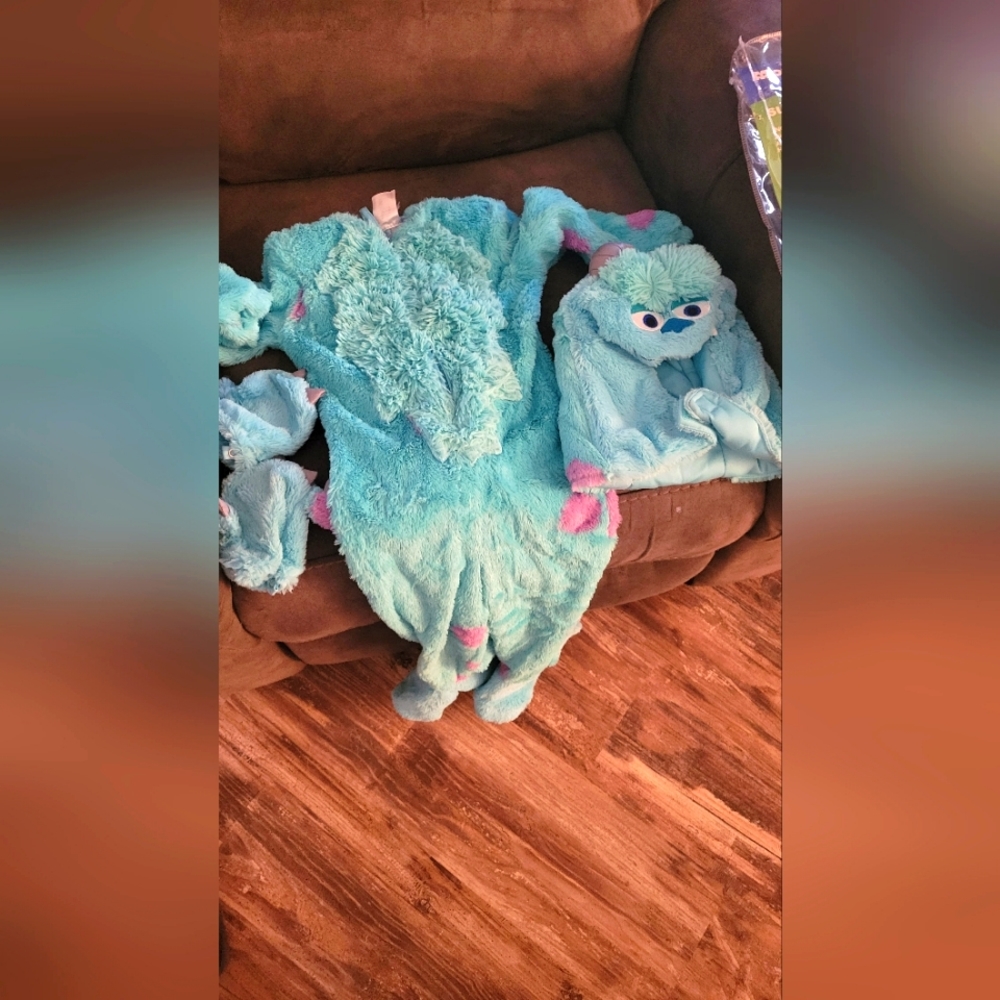 Sully from Monsters inc.